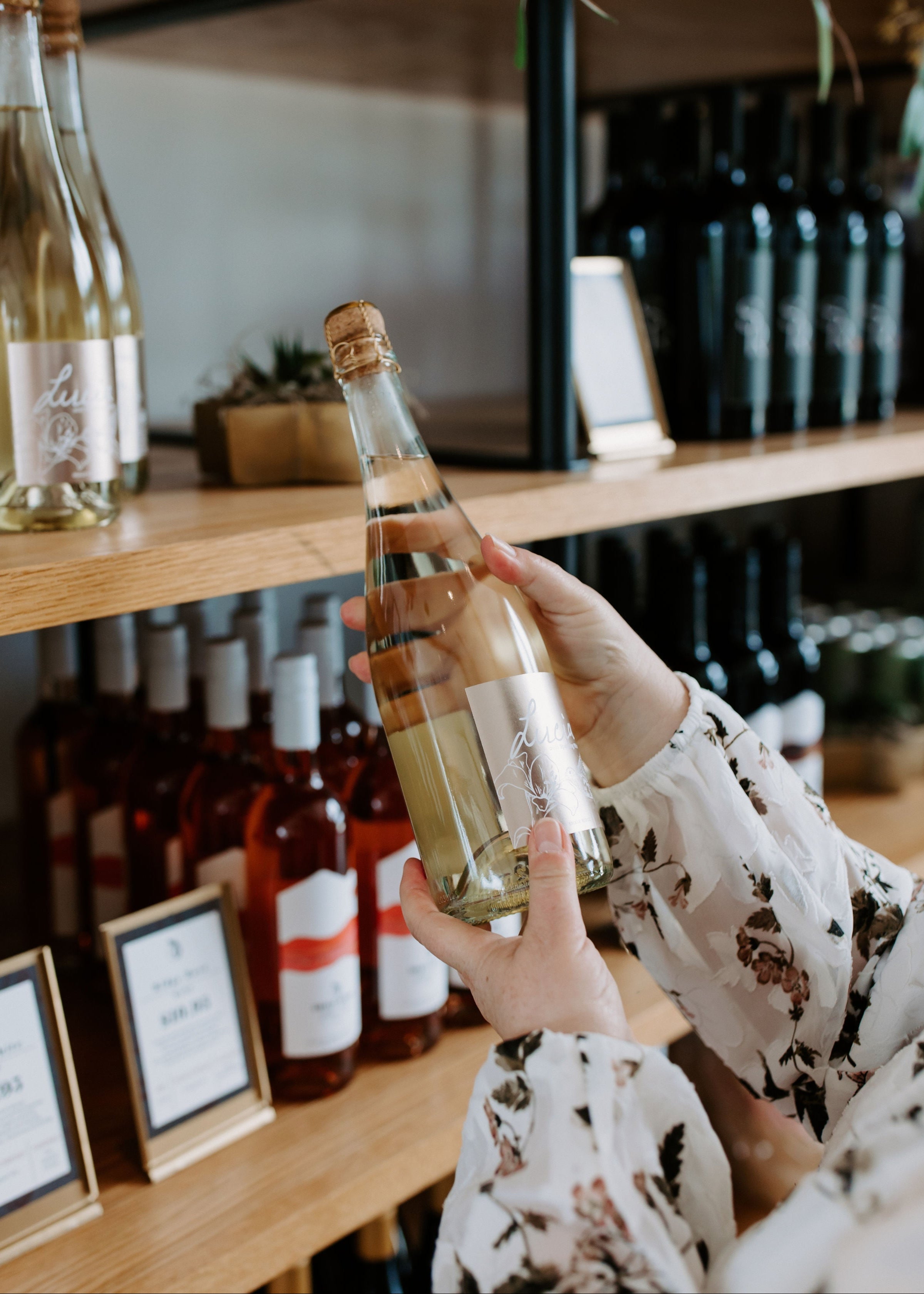 Lucia Sparkling Blanc