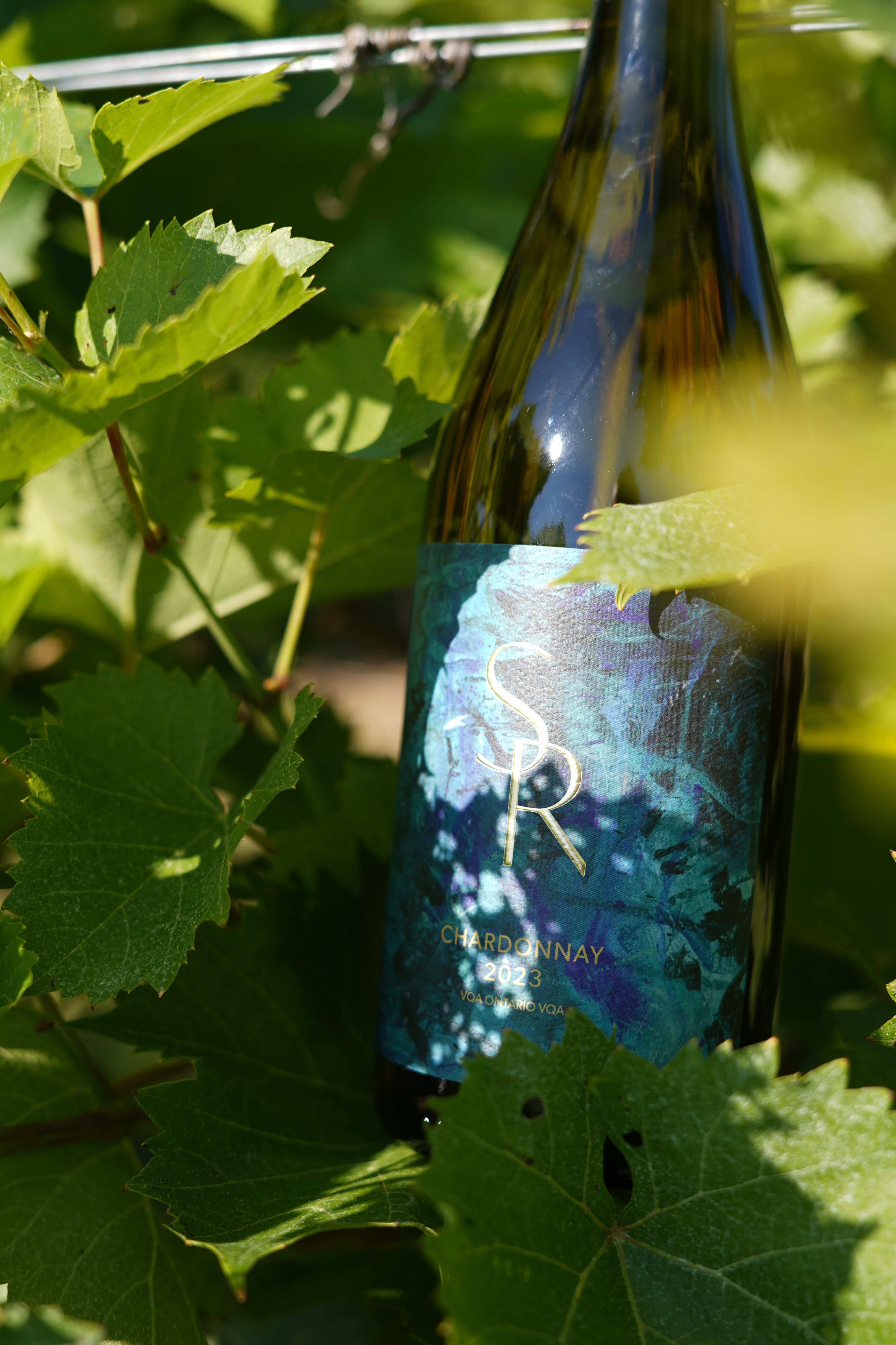 Wine