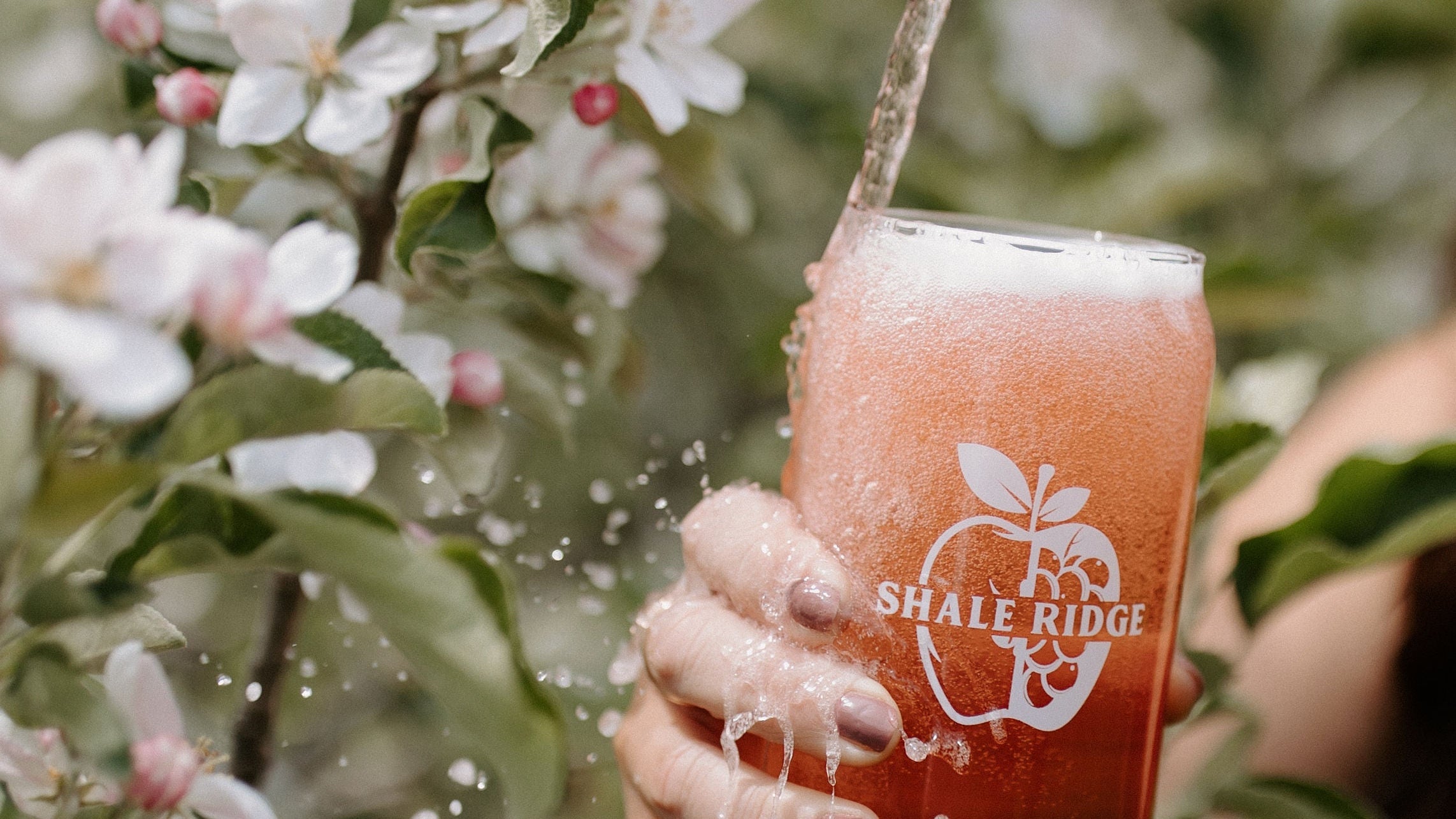 Cider