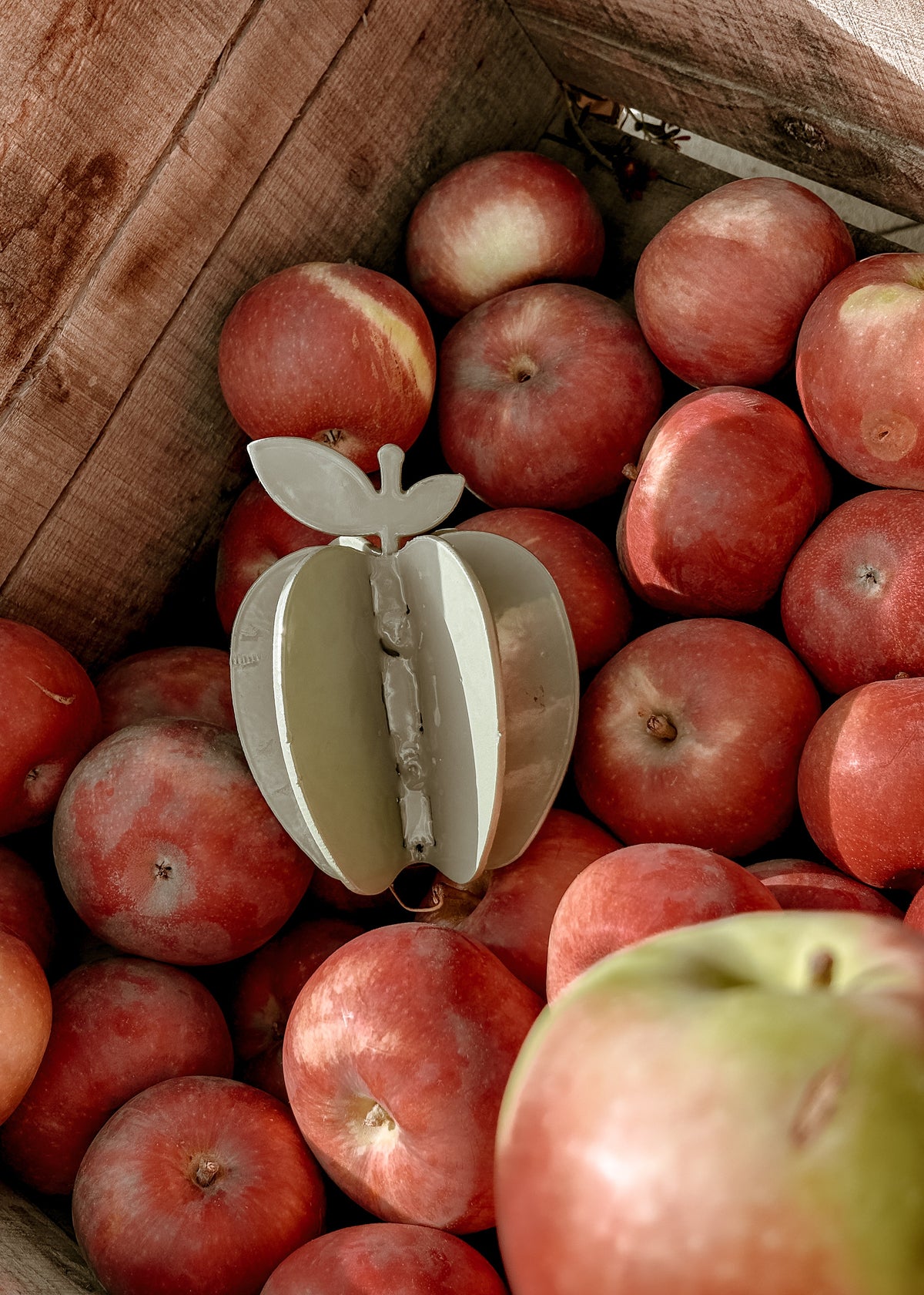 SR Steel Apple