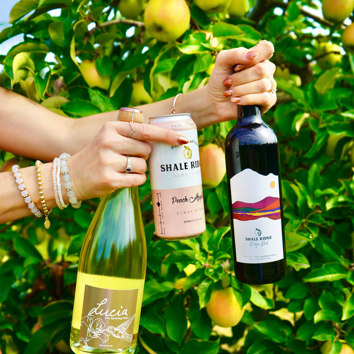 Shale Ridge Estate Winery & Cidery | Providing Unique Experiences